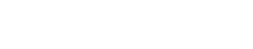 先輩社員の声